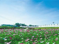 與河北省生態(tài)文明建設(shè)促進(jìn)會(huì)合作，提供單位官網(wǎng)網(wǎng)站改版工作