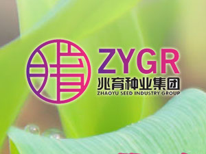 【簽約】河北兆育種業(yè)集團(tuán)有限公司，簽署網(wǎng)站改版升級(jí)合同
