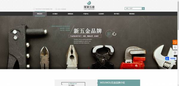 企業(yè)網(wǎng)站建設(shè)，具有LaTeX排版和數(shù)學(xué)可視化功能的網(wǎng)站建設(shè)
