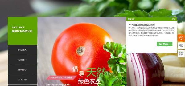 公司網(wǎng)站制作，秩序與靈動并存的網(wǎng)頁設(shè)計